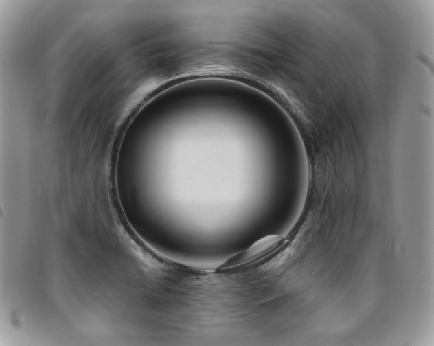 X0000095131422200712071257