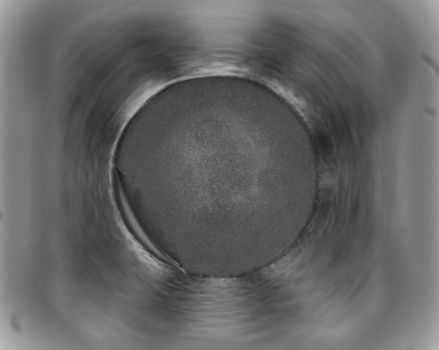 X0000095131423200712071257