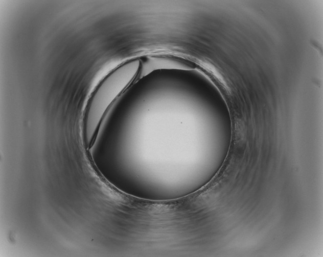 X0000095131424200712071257
