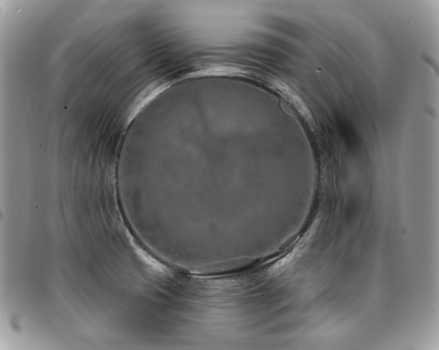 X0000095131425200712071257