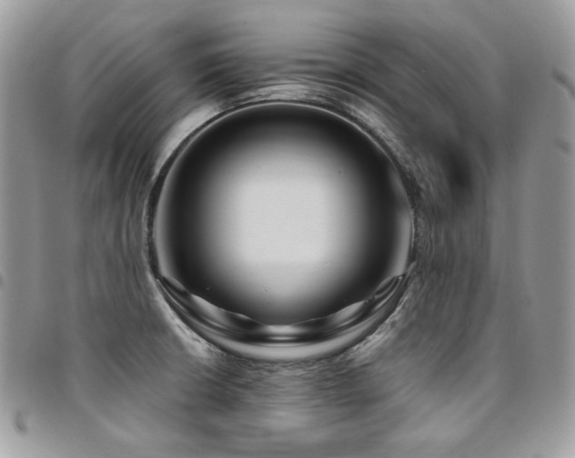 X0000095131426200712071257