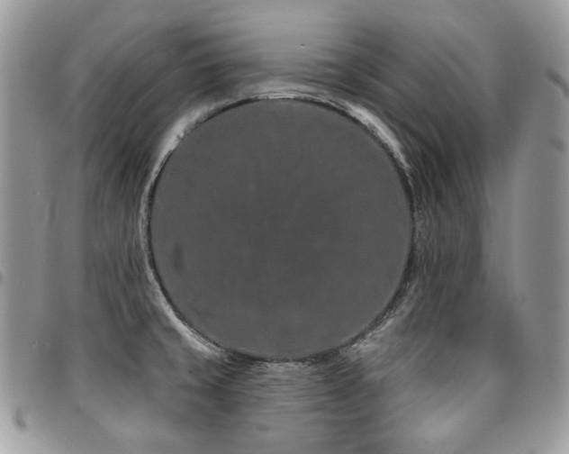 X0000095131429200712071257