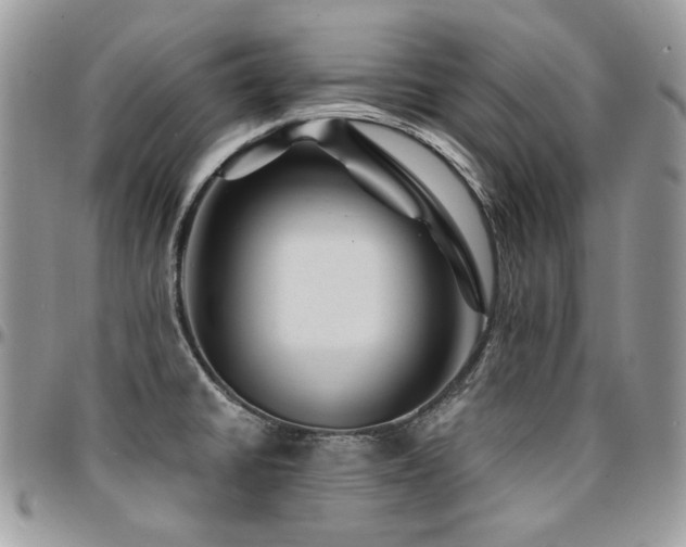 X0000095131430200712071257
