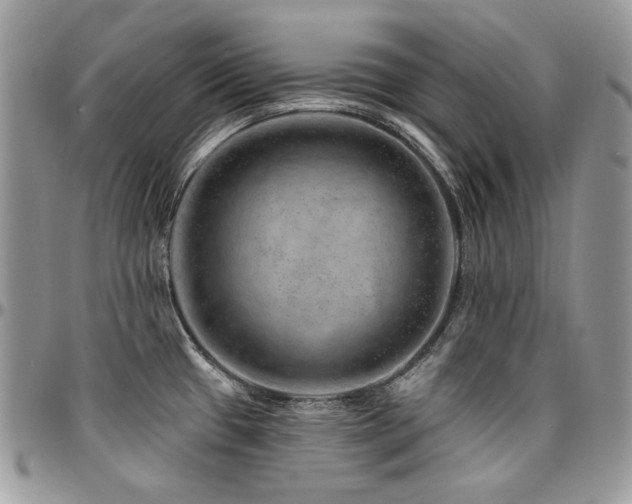 X0000095131433200712071257