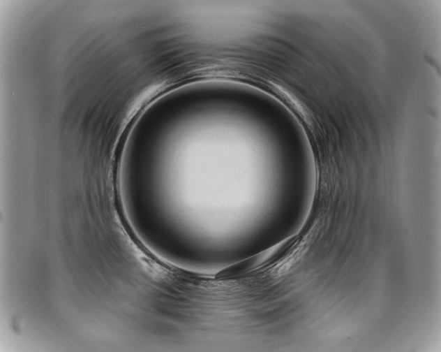 X0000095131434200712071257