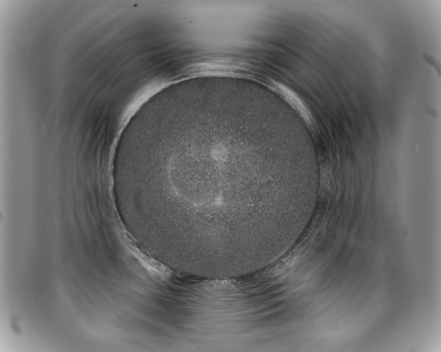 X0000095131435200712071257