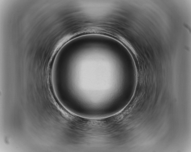 X0000095131437200712071257