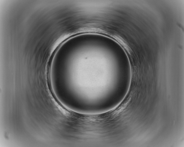 X0000095131438200712071257