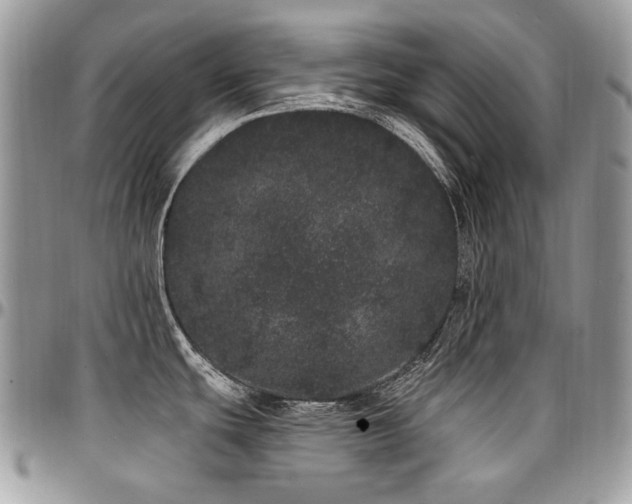 X0000095131439200712071257