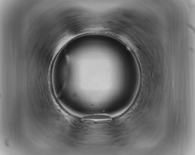 X0000095131440200712071257