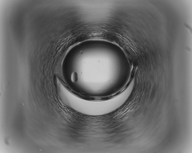 X0000095131441200712071257