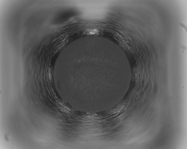 X0000095131442200712071257