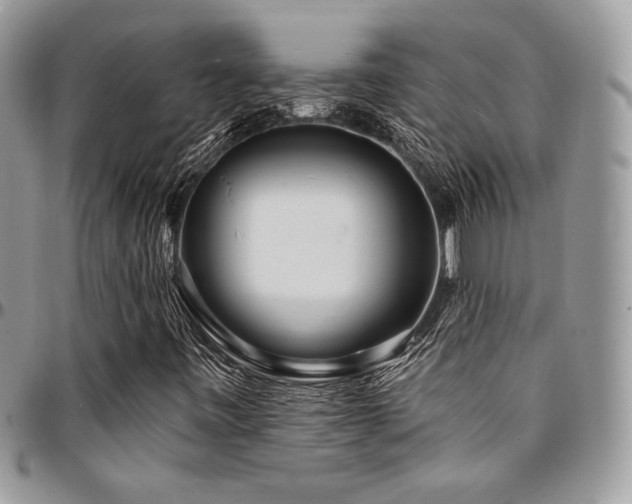 X0000095131443200712071257