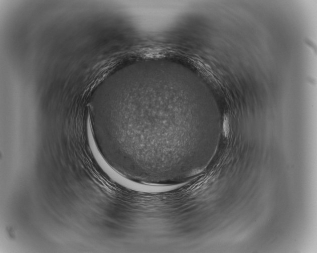 X0000095131444200712071257