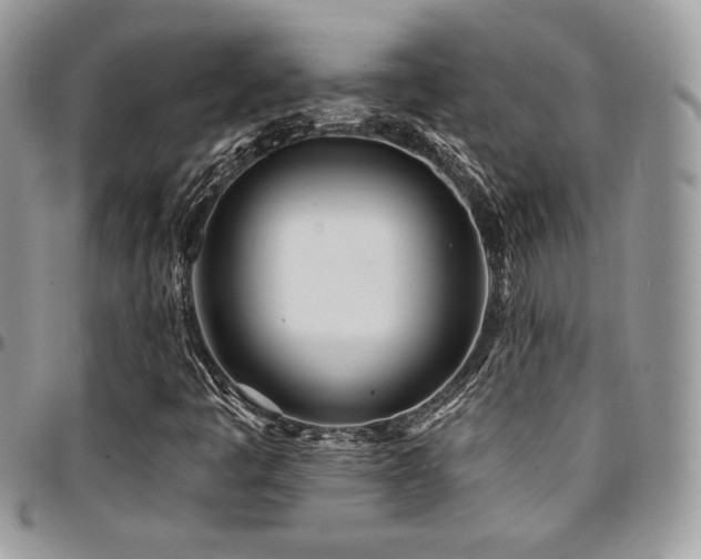 X0000095131445200712071257