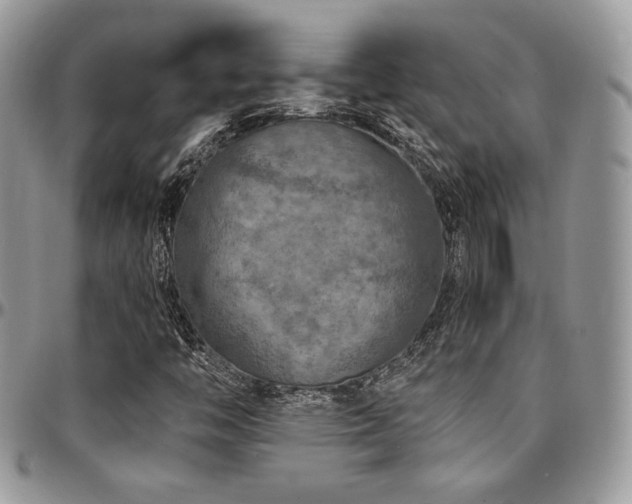 X0000095131446200712071257
