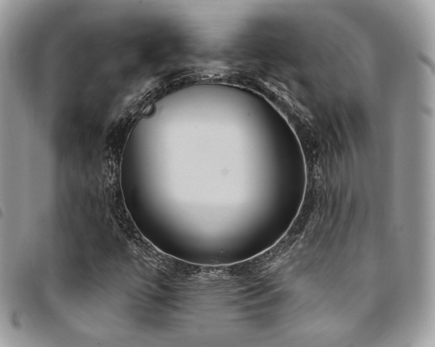 X0000095131447200712071257