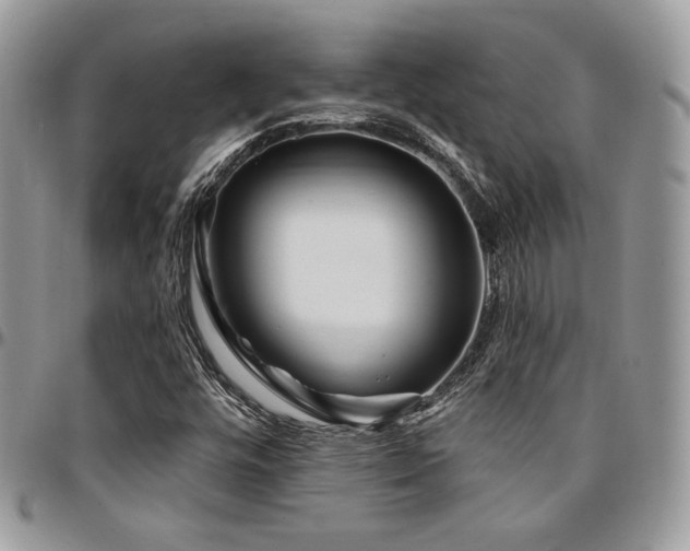 X0000095131448200712071257