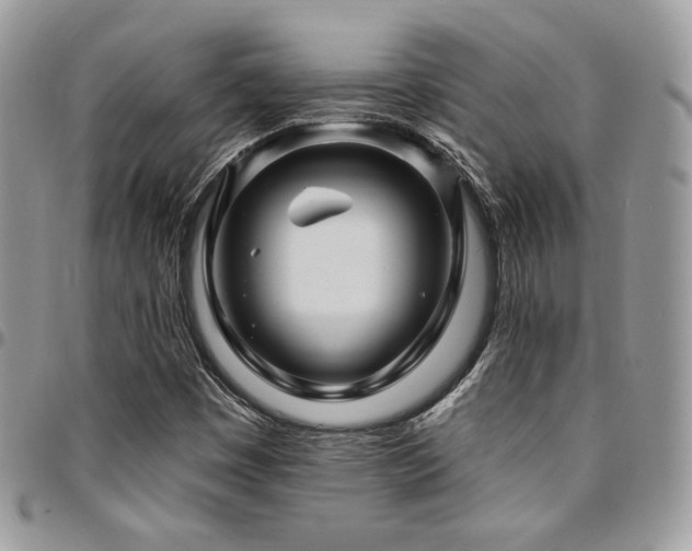 X0000095131449200712071257