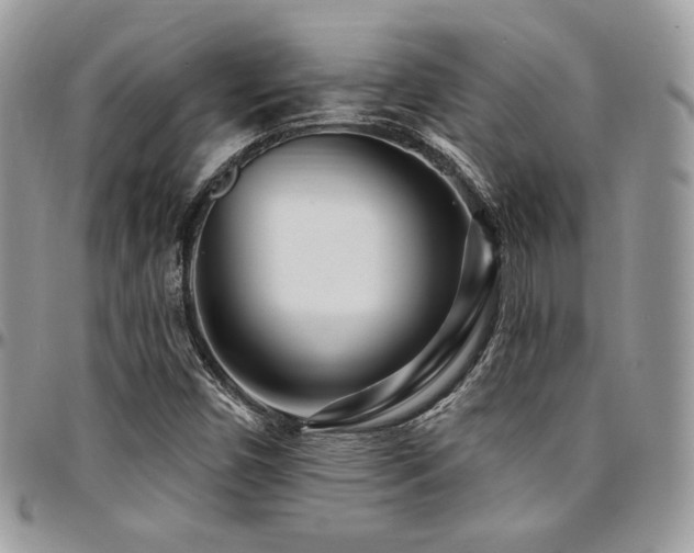 X0000095131450200712071256