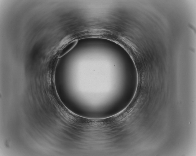 X0000095131451200712071256