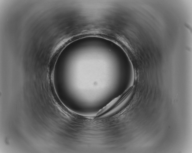 X0000095131452200712071256