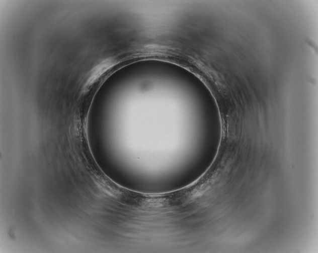 X0000095131453200712071256