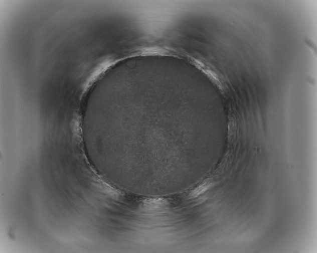 X0000095131454200712071256
