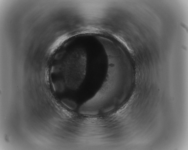 X0000095131455200712071256