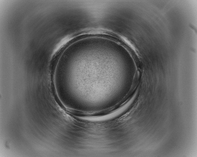 X0000095131456200712071256