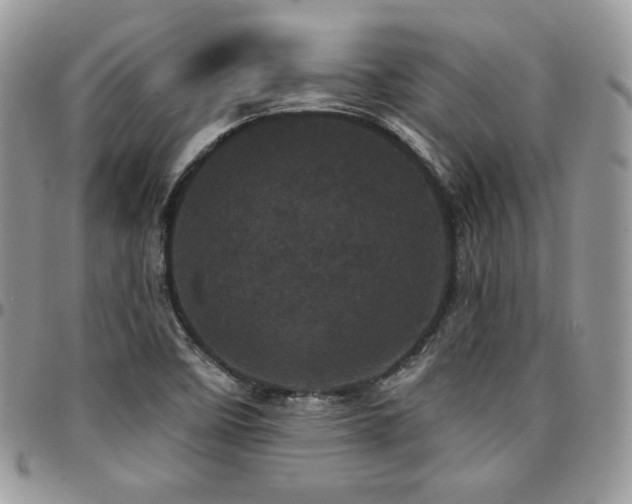 X0000095131458200712071256