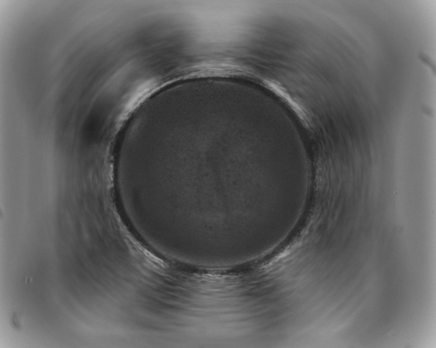 X0000095131459200712071256