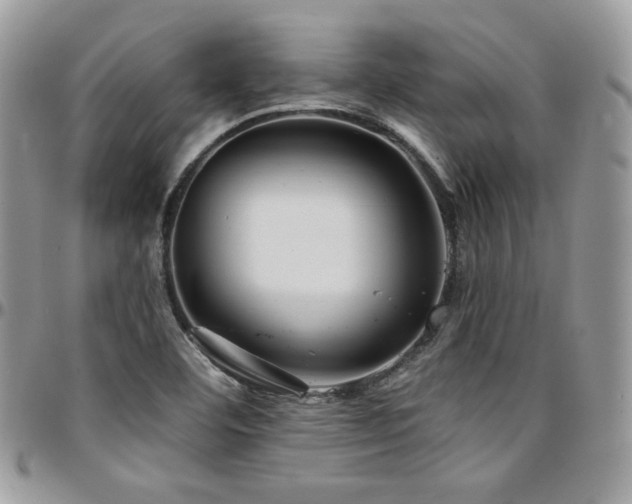 X0000095131460200712071256