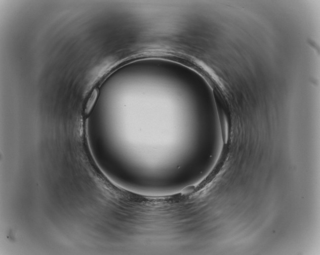 X0000095131461200712071256