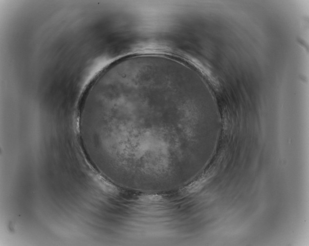 X0000095131462200712071256