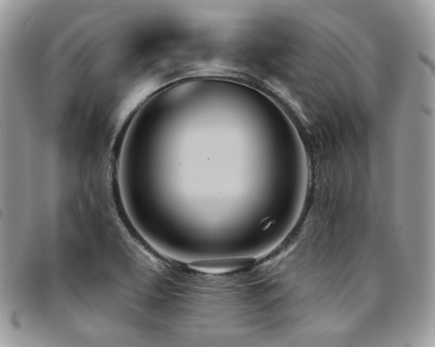 X0000095131463200712071256