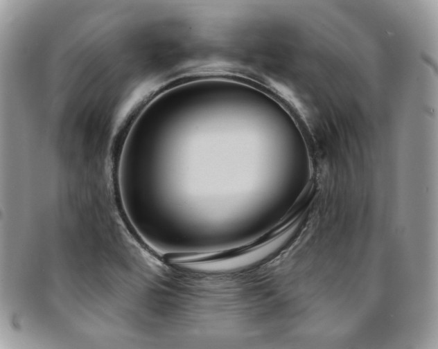 X0000095131464200712071256