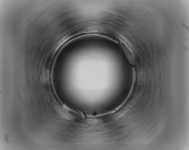 X0000095131465200712071256