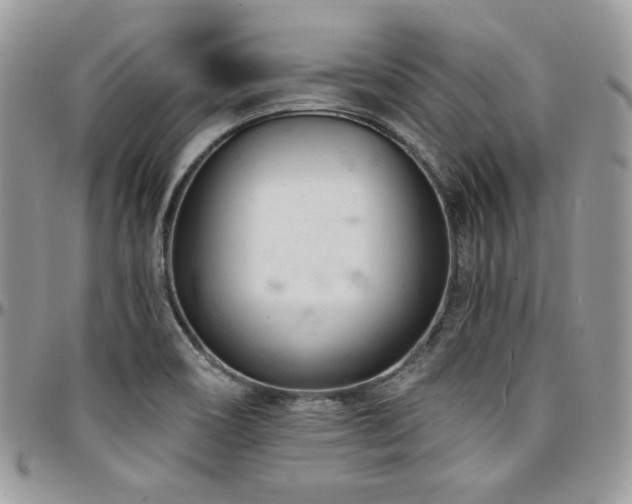 X0000095131466200712071256