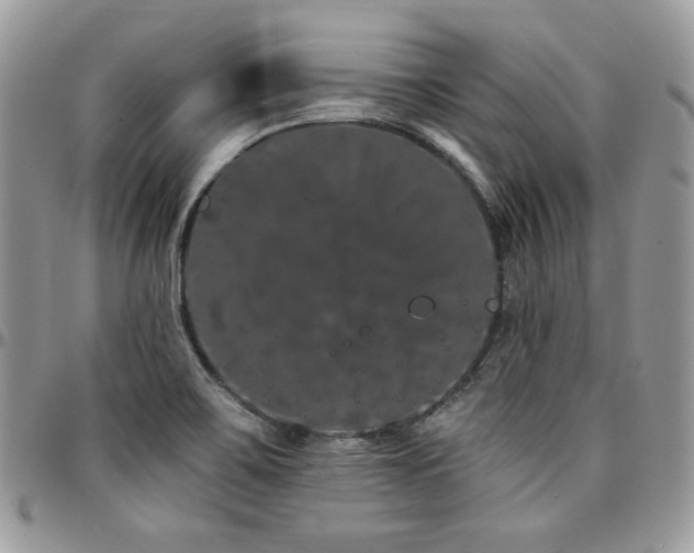 X0000095131467200712071256