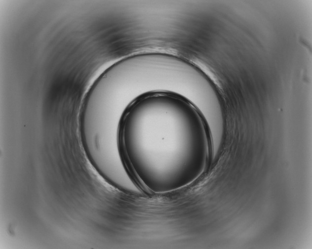 X0000095131468200712071256