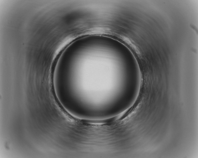 X0000095131469200712071256