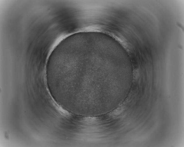 X0000095131470200712071256