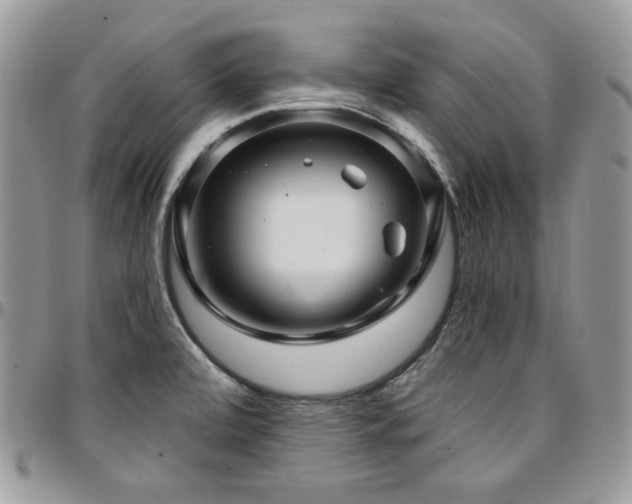 X0000095131472200712071256