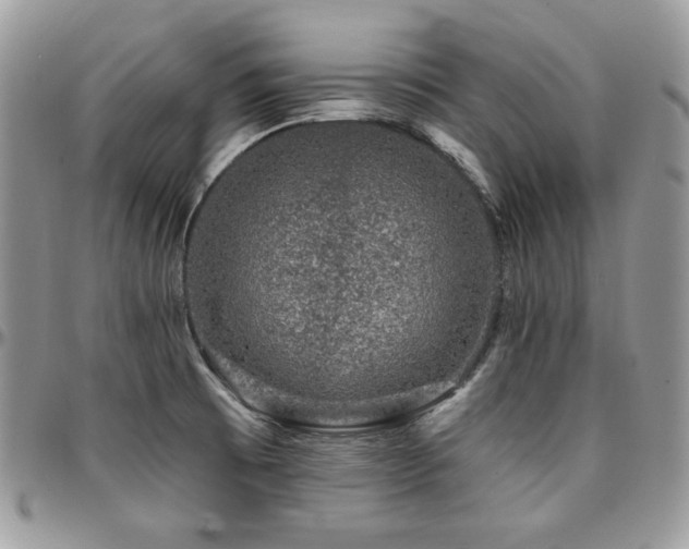 X0000095131473200712071256