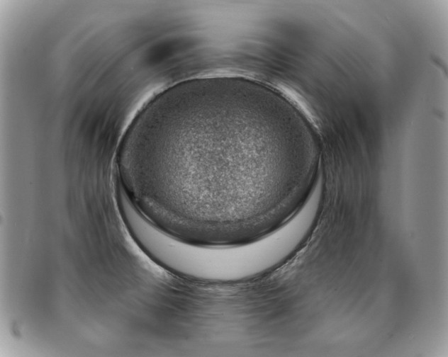X0000095131476200712071256