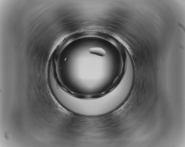 X0000095131477200712071256