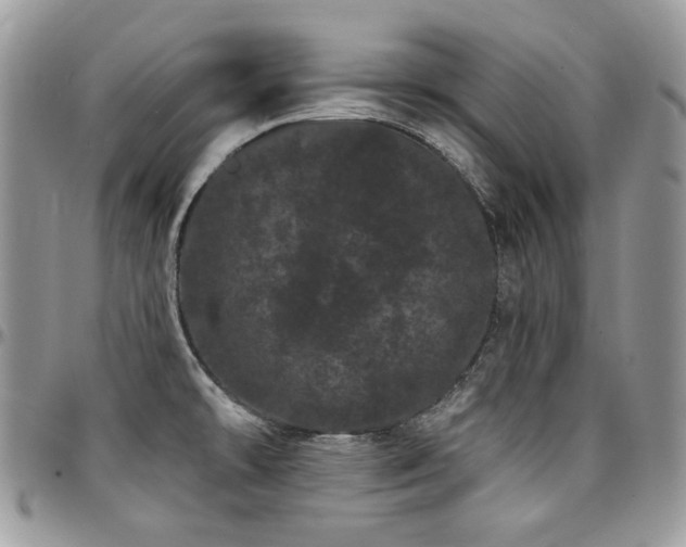 X0000095131478200712071256
