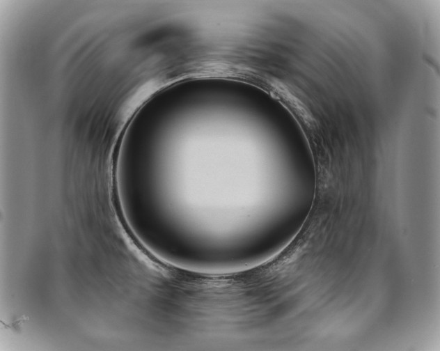 X0000095131479200712071256