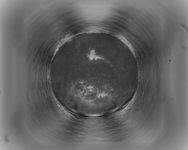 X0000095131481200712071256